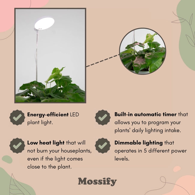 Adjustable Growlight by Mossify
