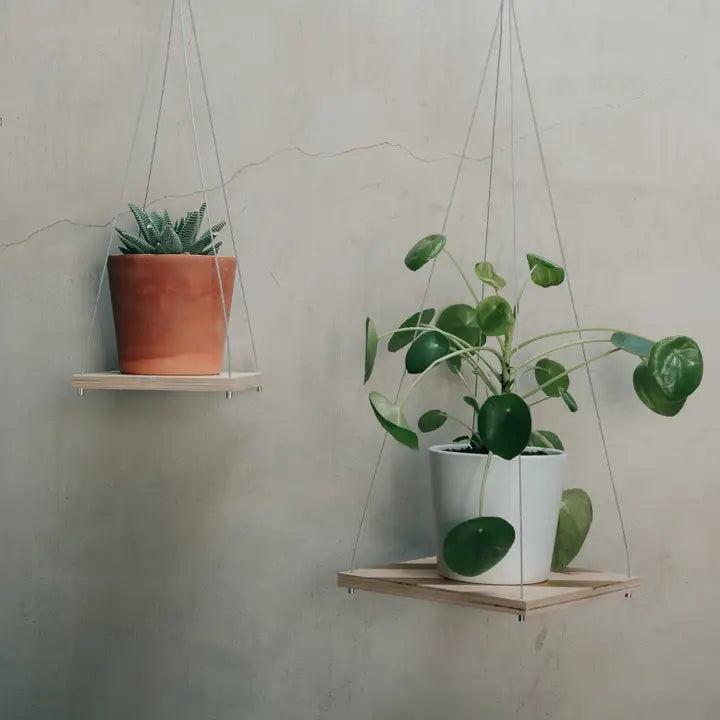 Plant Hanger