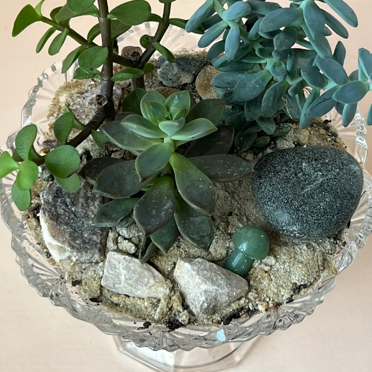 Succulent Terrarium in Vintage Glassware