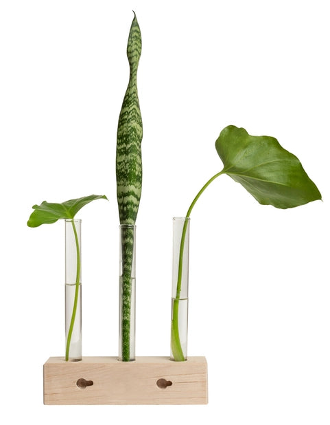 Propagation Station Trio