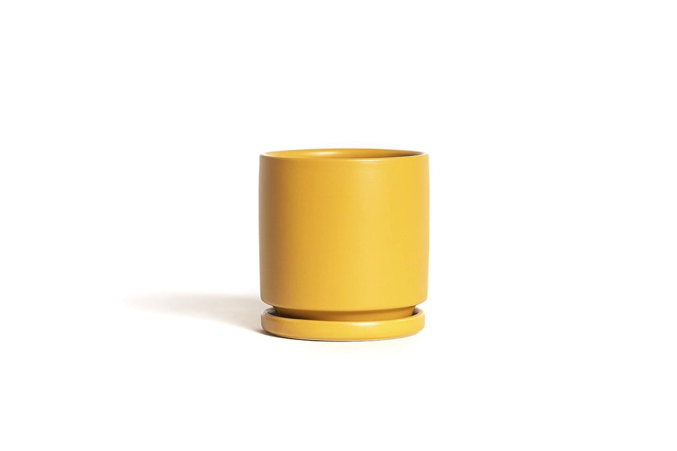 Cylinder Pot by Momma Pots