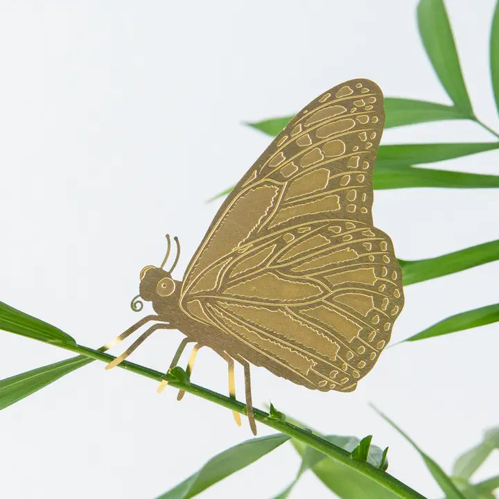 Plant Animals