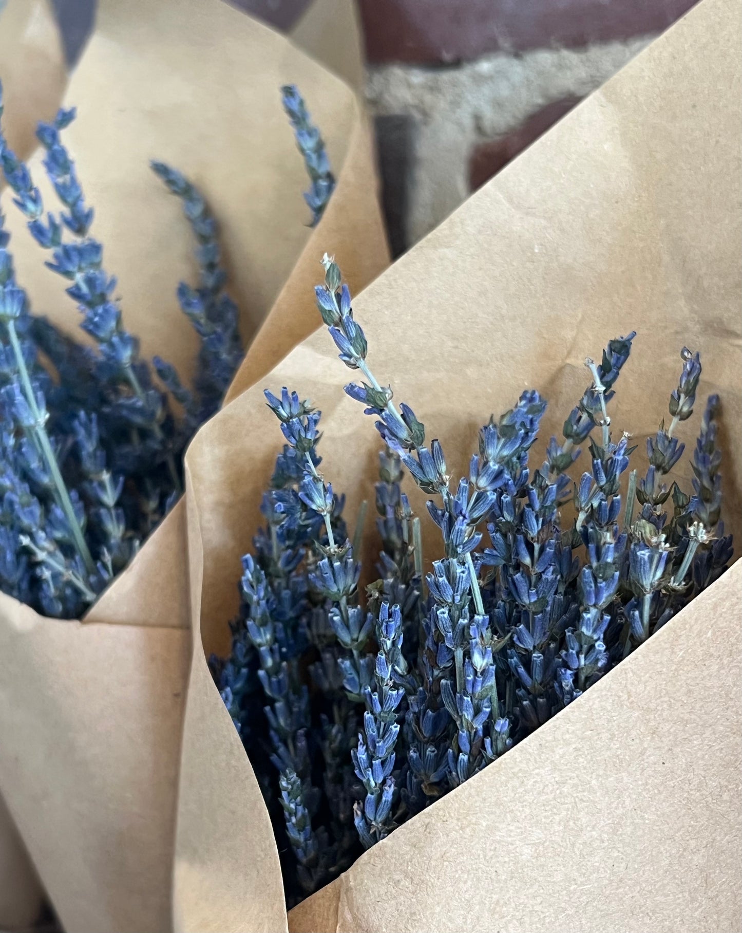 French Lavender Bundle