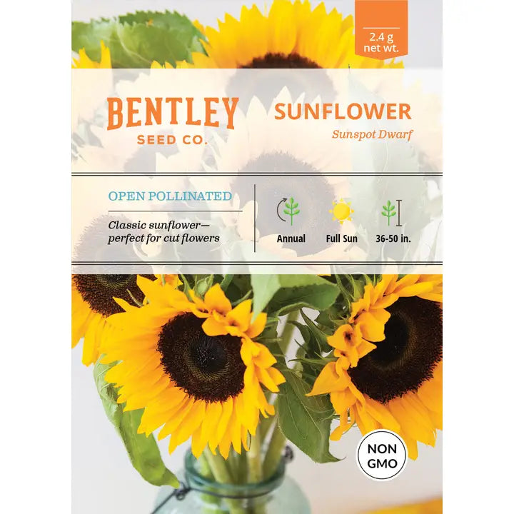 Flower Seeds