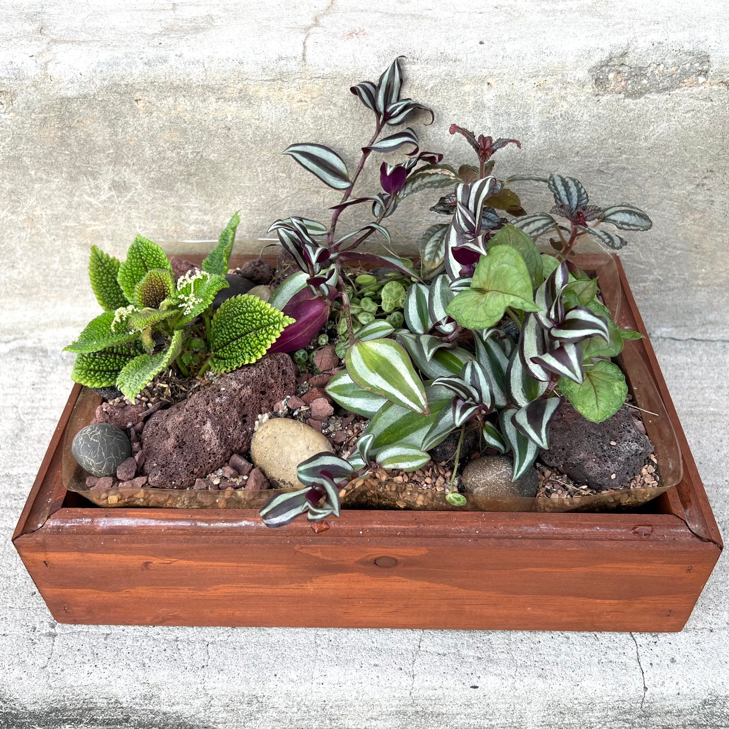 Hall House Terrarium by Leadhead Glass