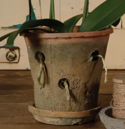 Orchid Pot Terra Cotta