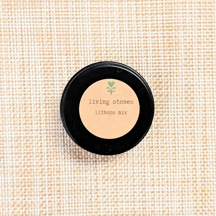 Plantflix Seeds: Lithops Mix (Living Stone) Seeds