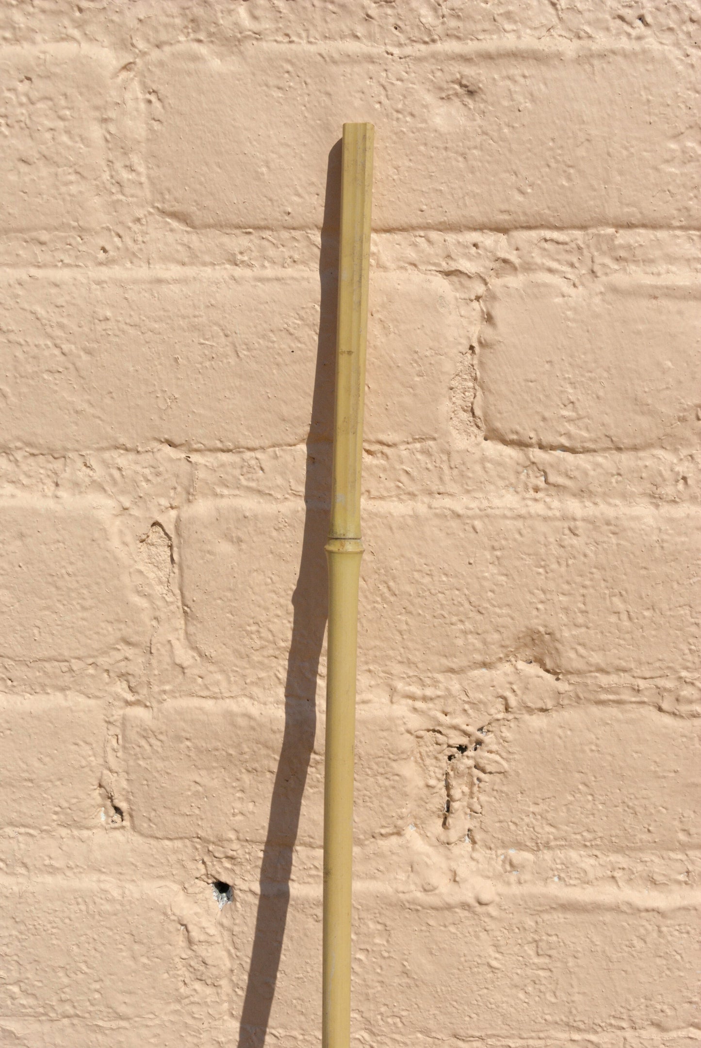 Bamboo Stakes