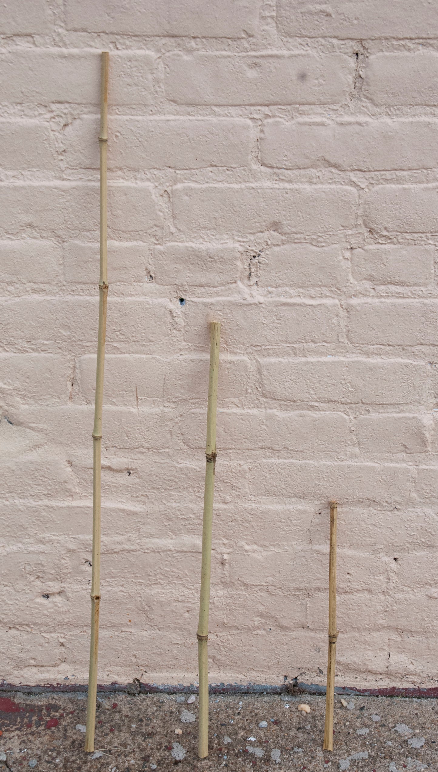 Bamboo Stakes
