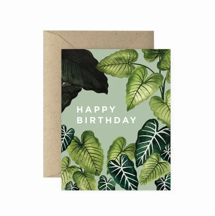 Paper Anchor Co. Cards