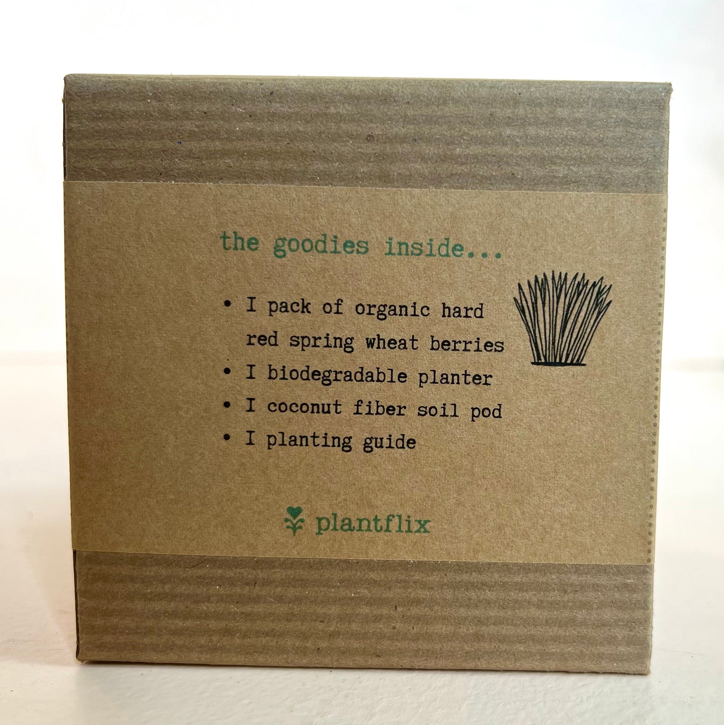 Pet Friendly Seed Kits by Plantflix