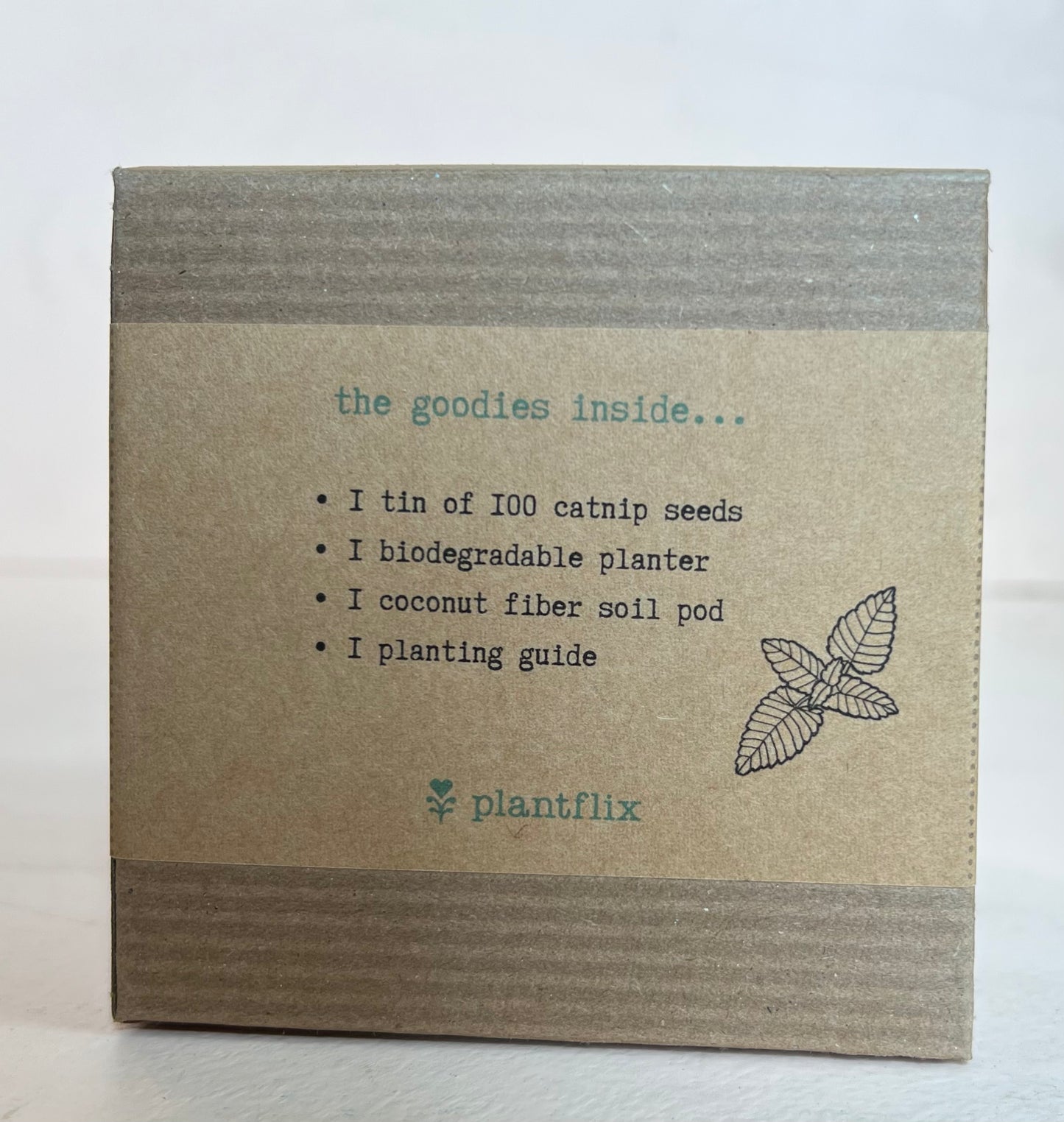 Pet Friendly Seed Kits by Plantflix