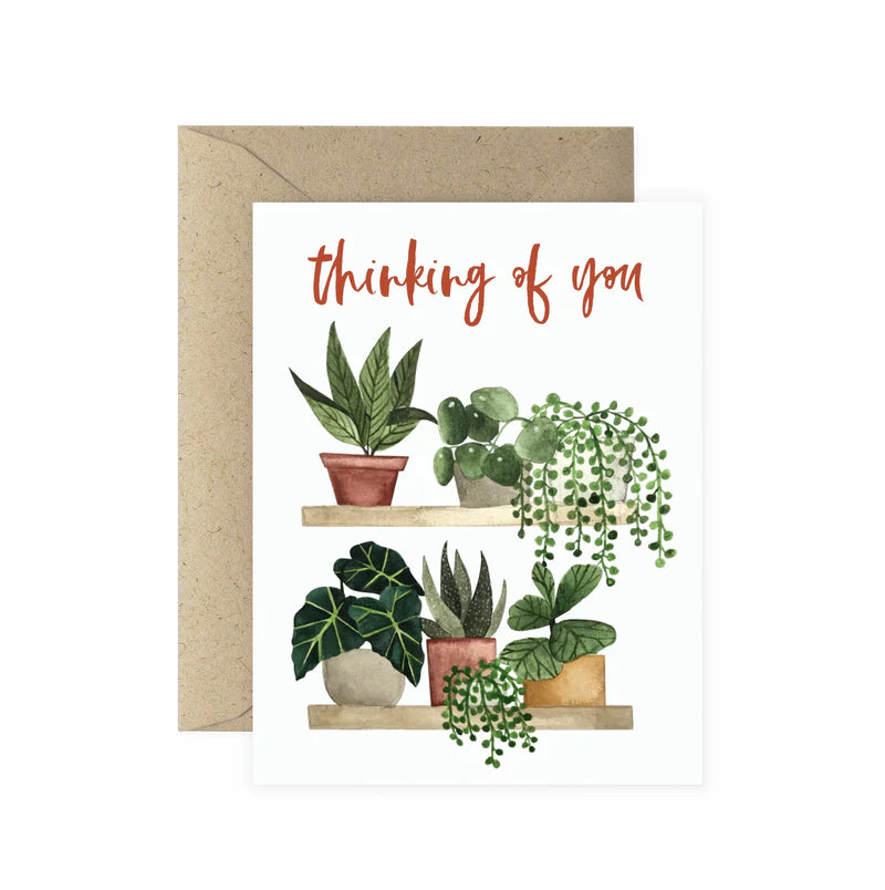 Paper Anchor Co. Cards