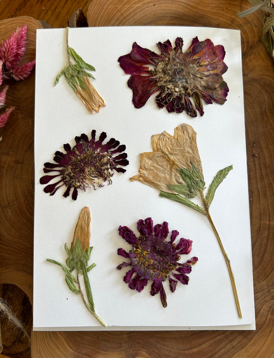 Pressed Flower Card