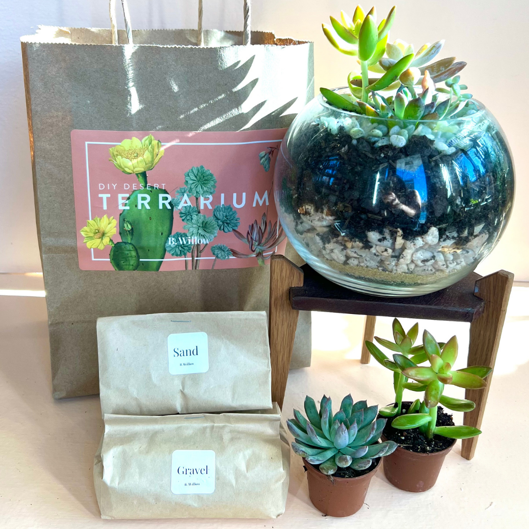 Terrarium Kit