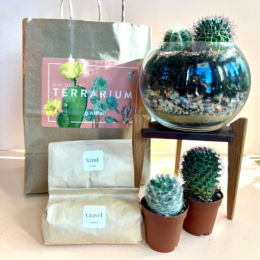 Terrarium Kit