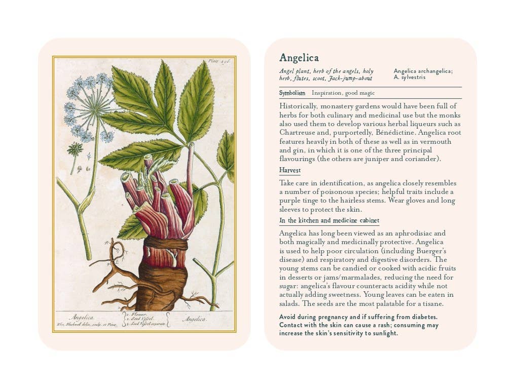 Healing Plants