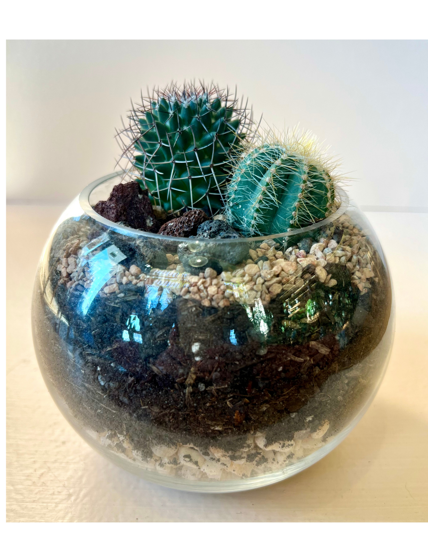 Cacti Globe Terrarium