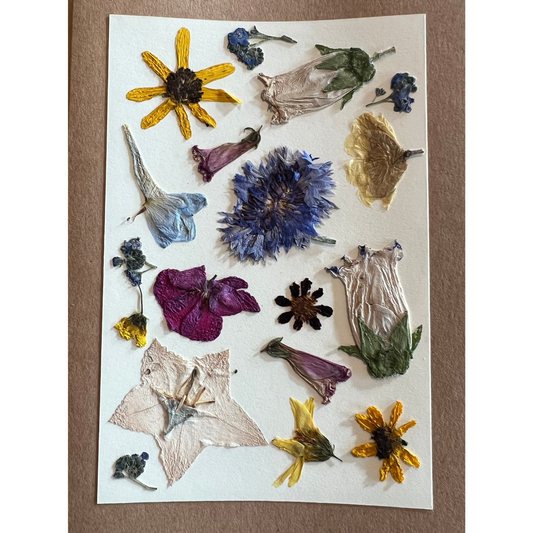 Pressed Flower Card