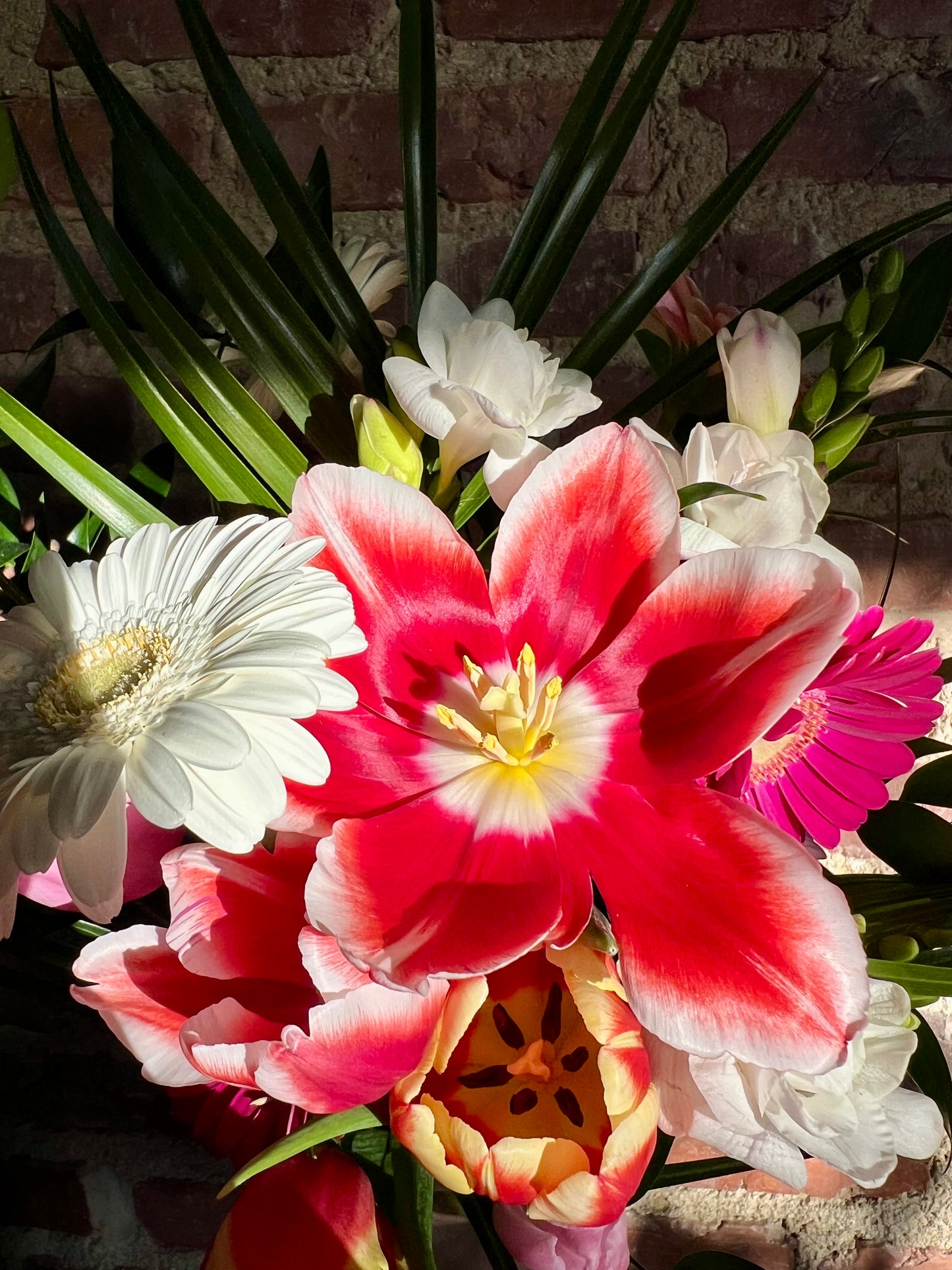 2026 B.Willow x Jinji Chocolate Valentine's Package Pre-Order (limited # available!)