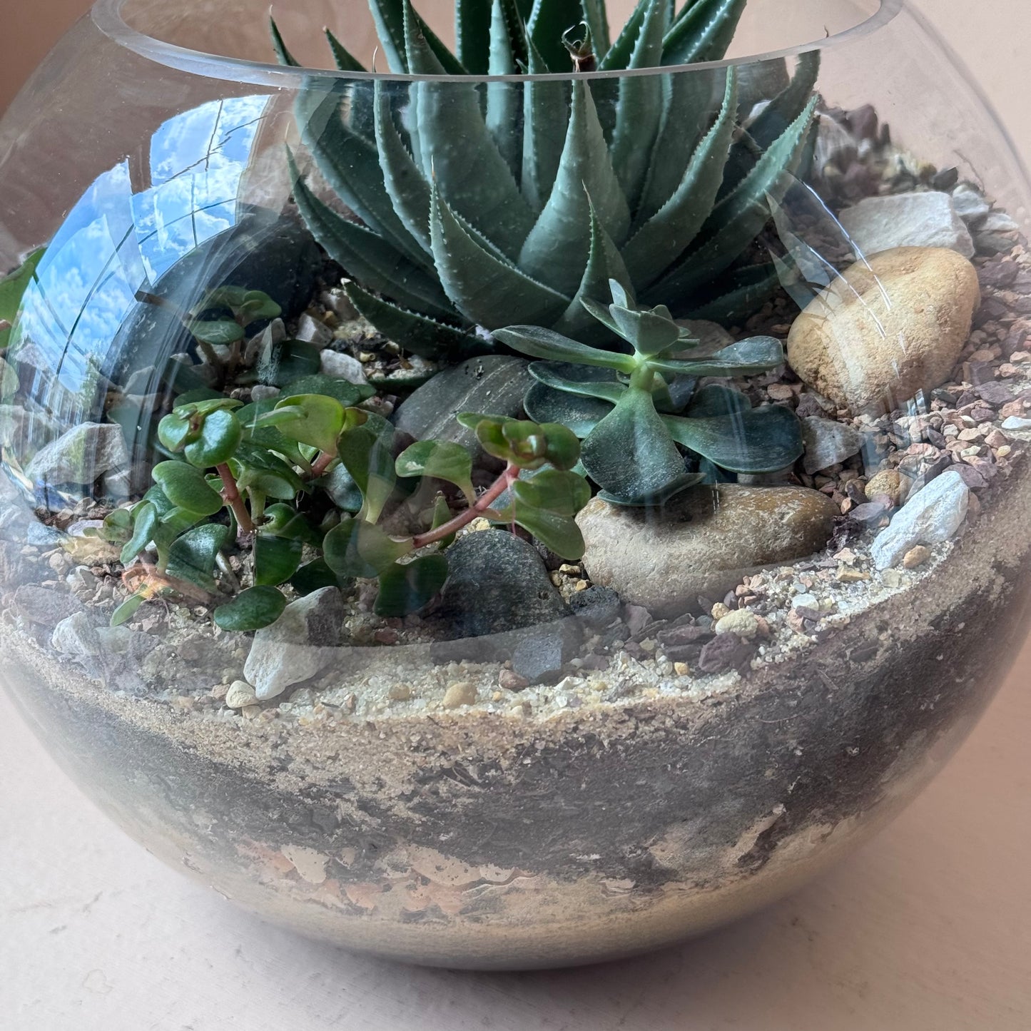 10" Succulent Globe Terrarium
