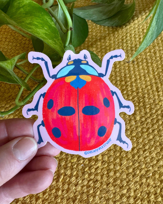 Ladybug Sticker - Ladybird - Insect - Nature Sticker