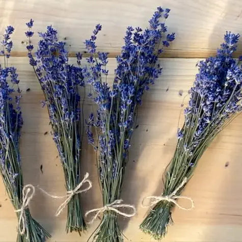 Dried Lavender Bundles