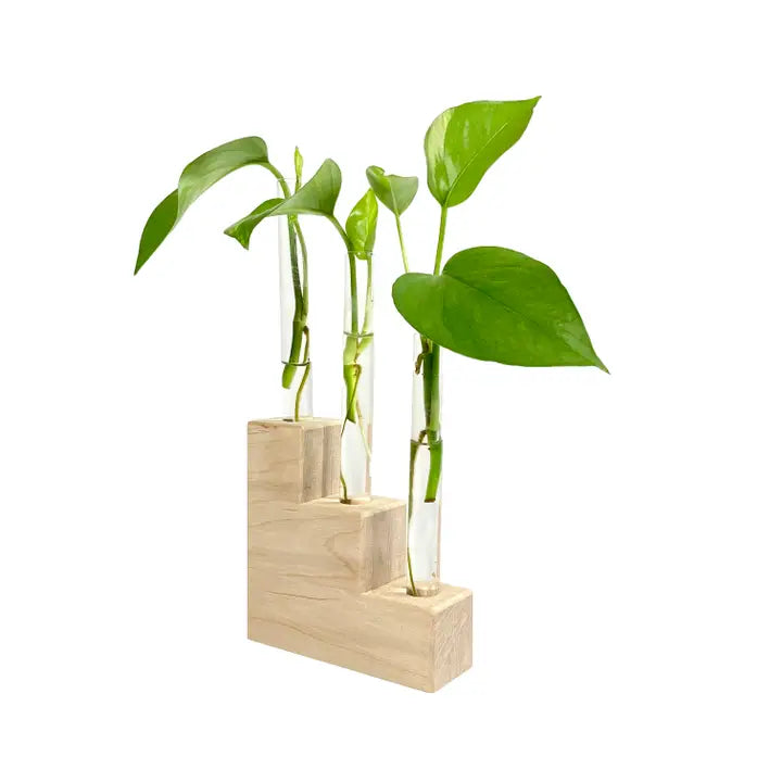 Riser Propagation Station Trio