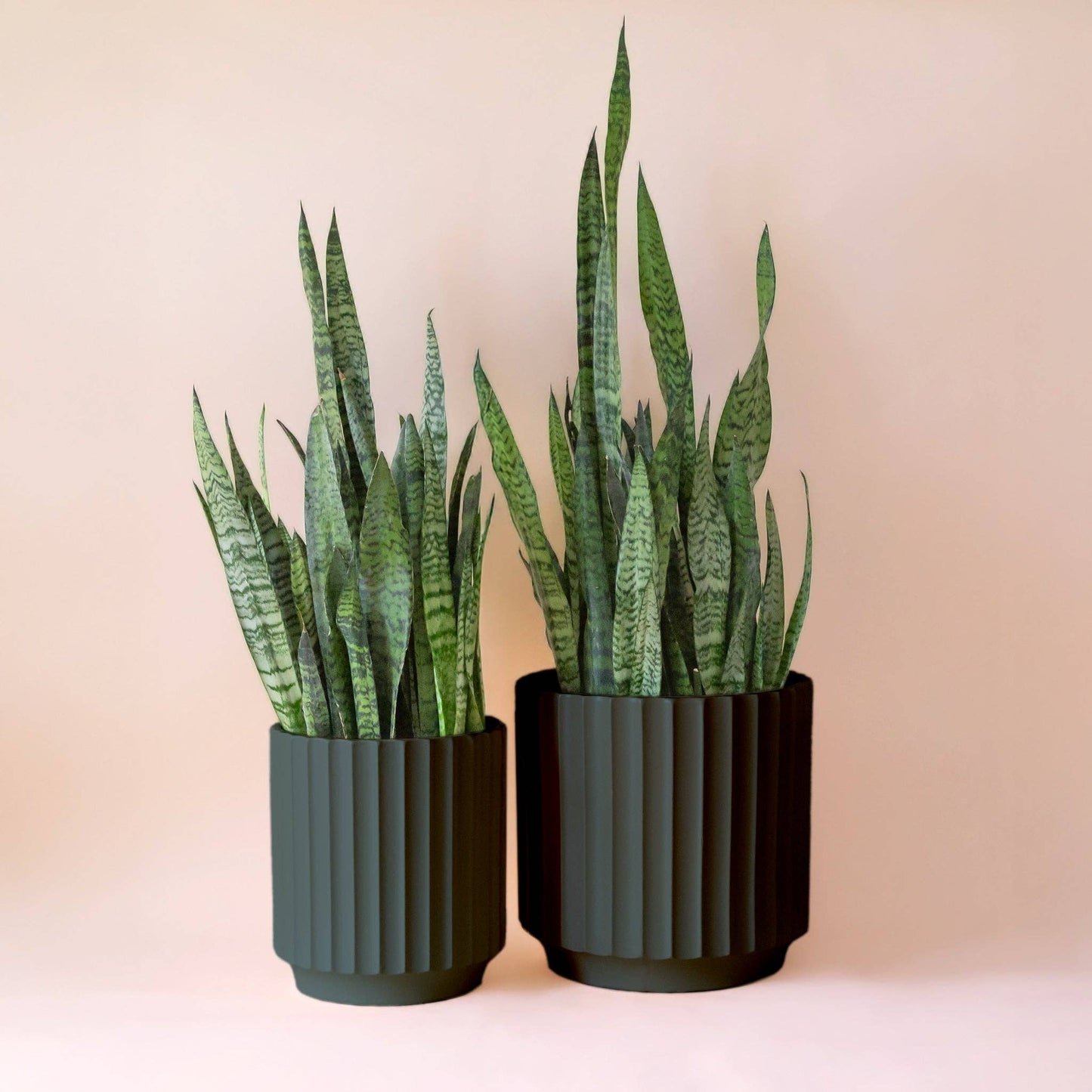 Monroe Planter | 10 & 12 inch