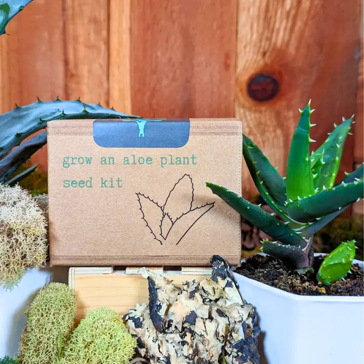 Seed Kits by Plantflix
