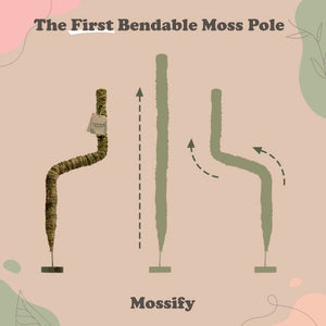 Bendable Moss Poles by Mossify