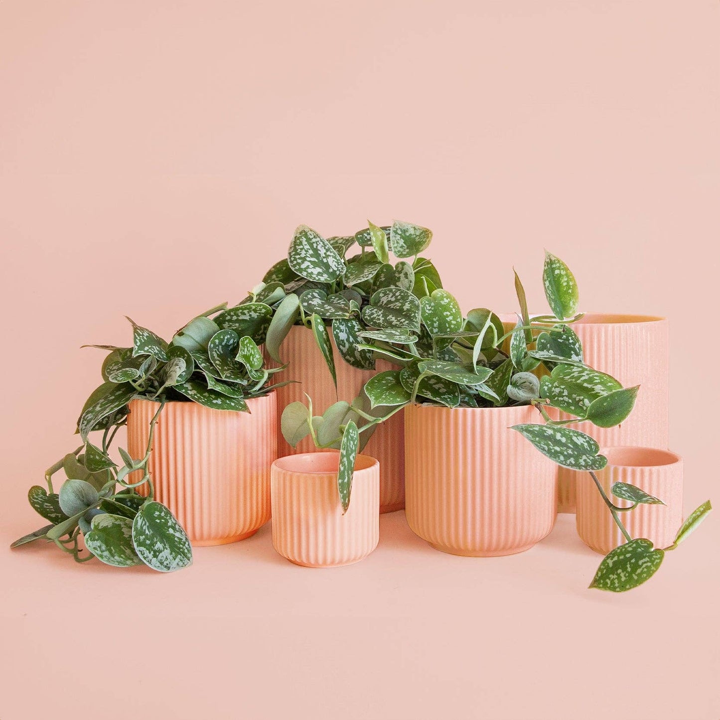Lucy Planter | 3 to 6.75 inch
