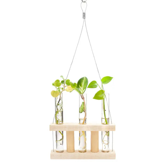 Hanging Propagation Stand