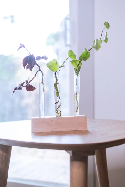 Propagation Station Trio