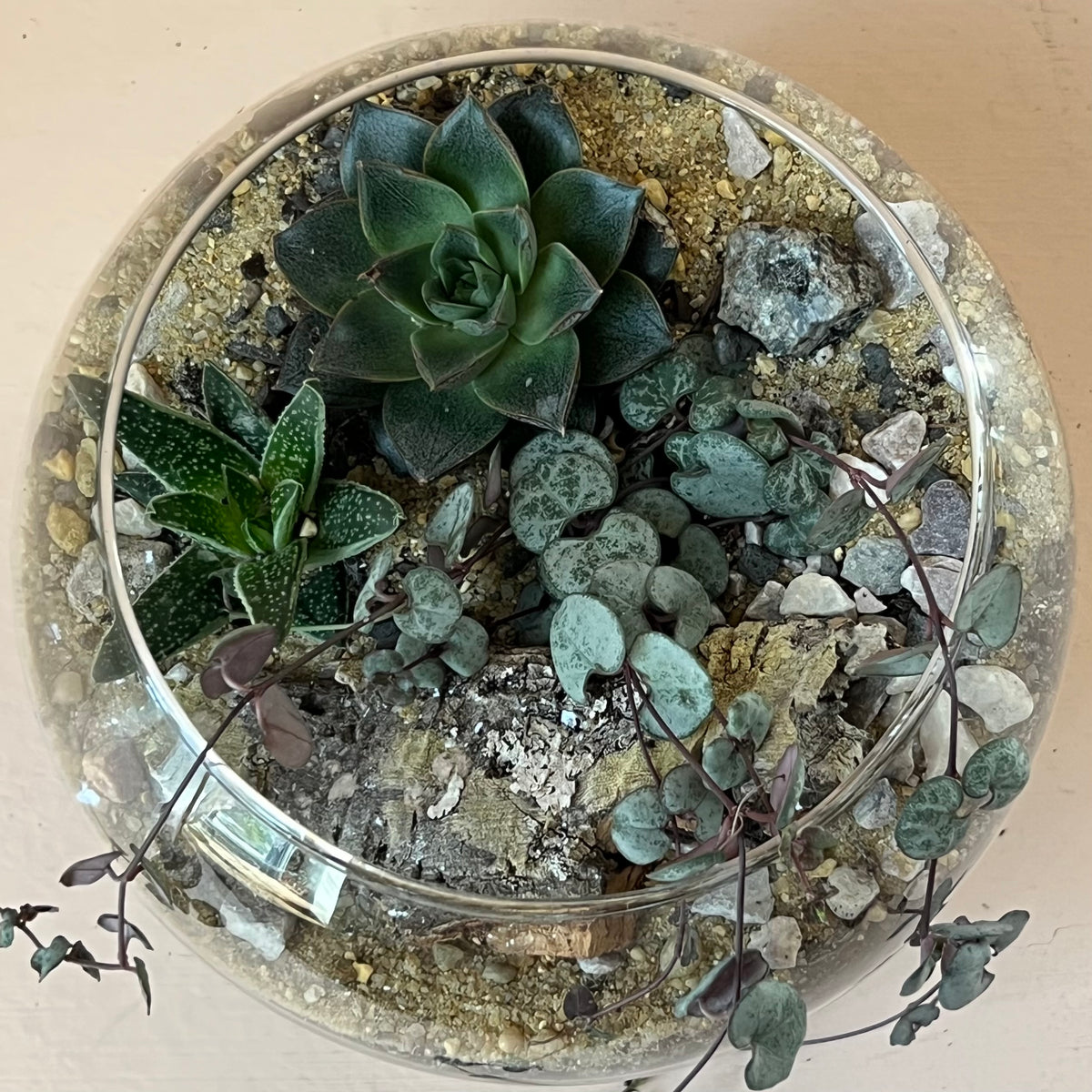 8" Succulent Globe Terrarium