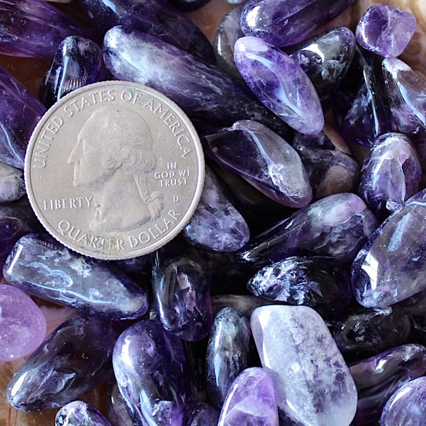 Amethyst Tumbled Chips (Xs) 4oz Bag