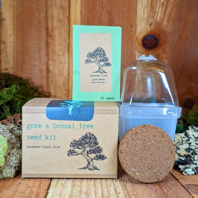 Seed Kits by Plantflix
