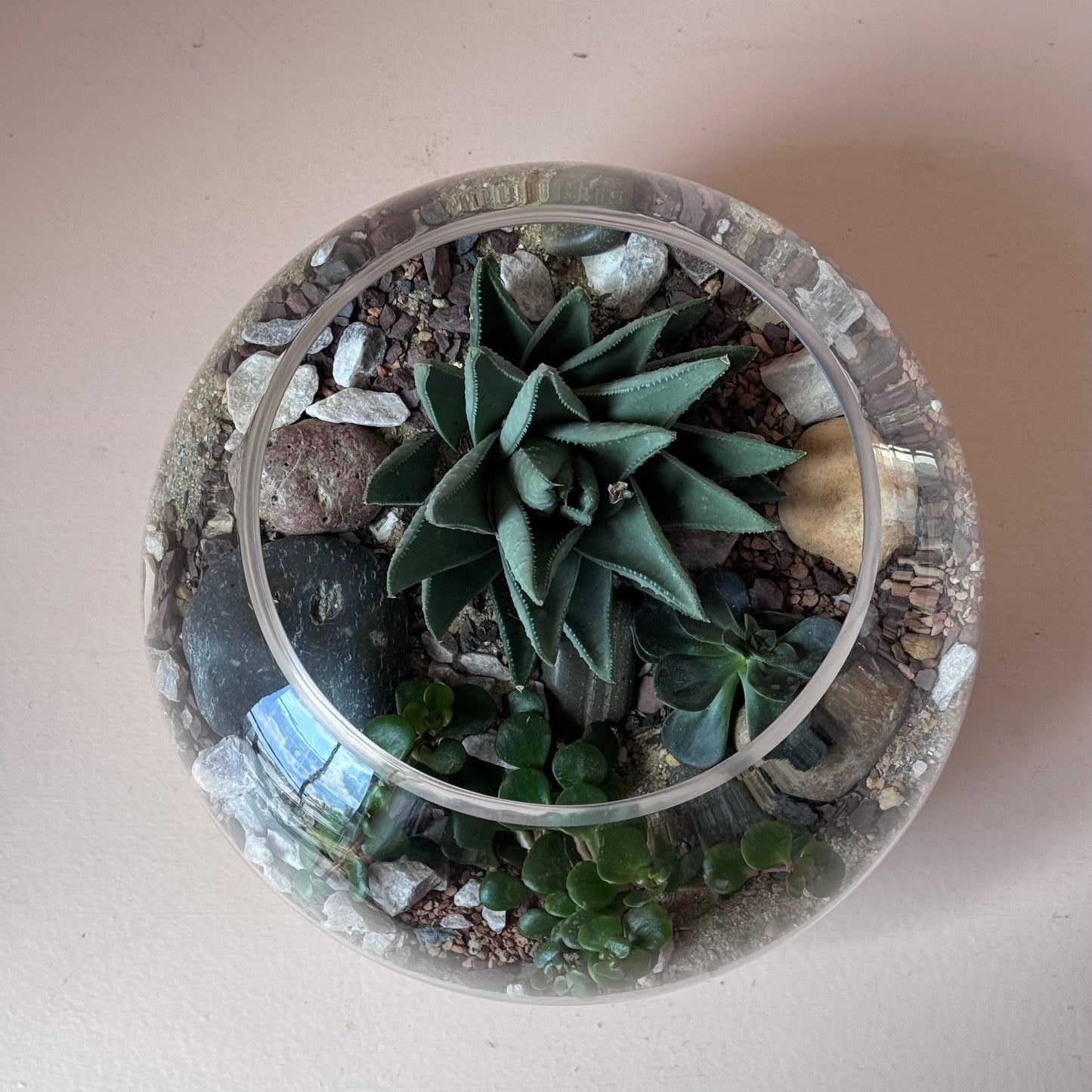 10" Succulent Globe Terrarium