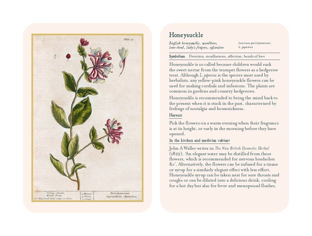 Healing Plants
