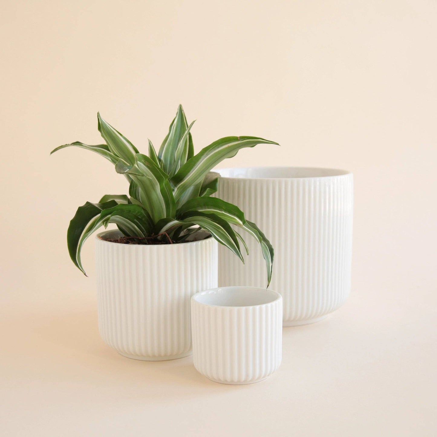 Lucy Planter | 3 to 6.75 inch