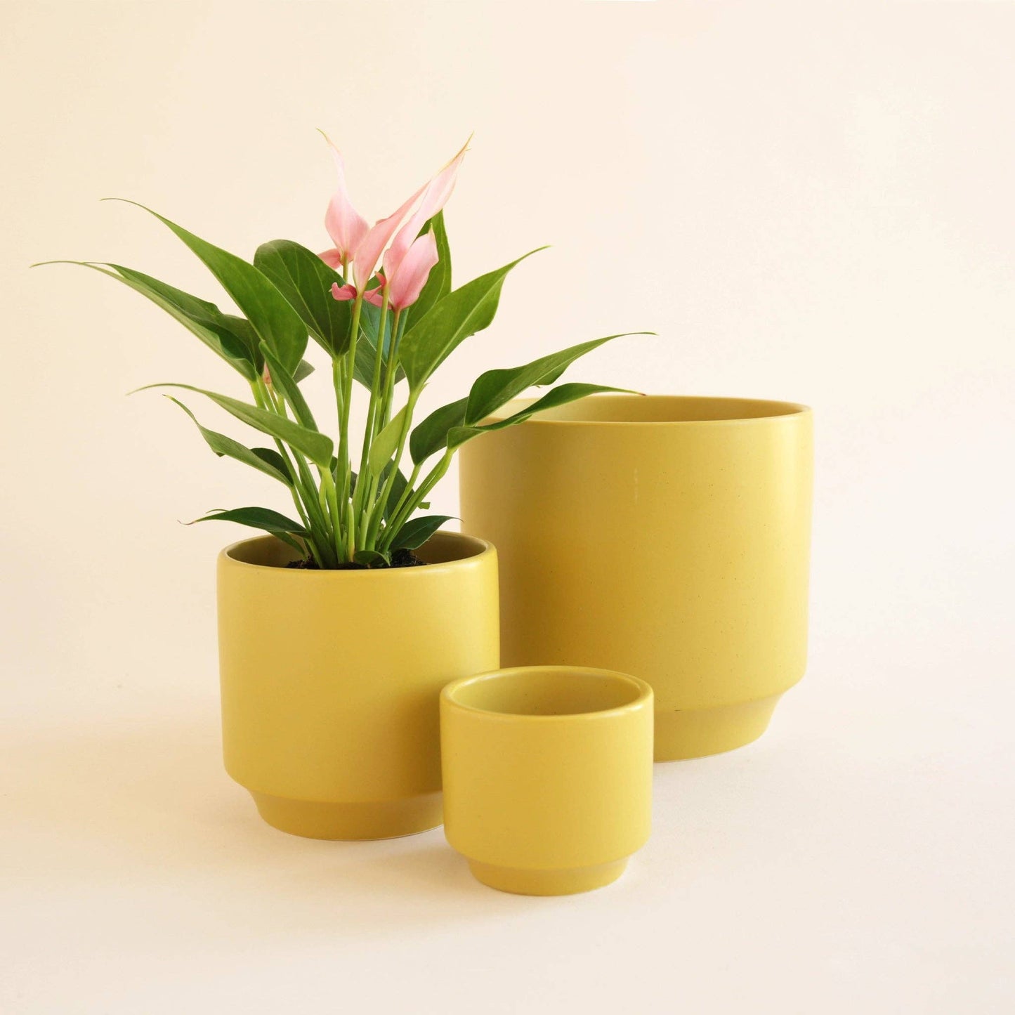 Parker Planter | with Trivet