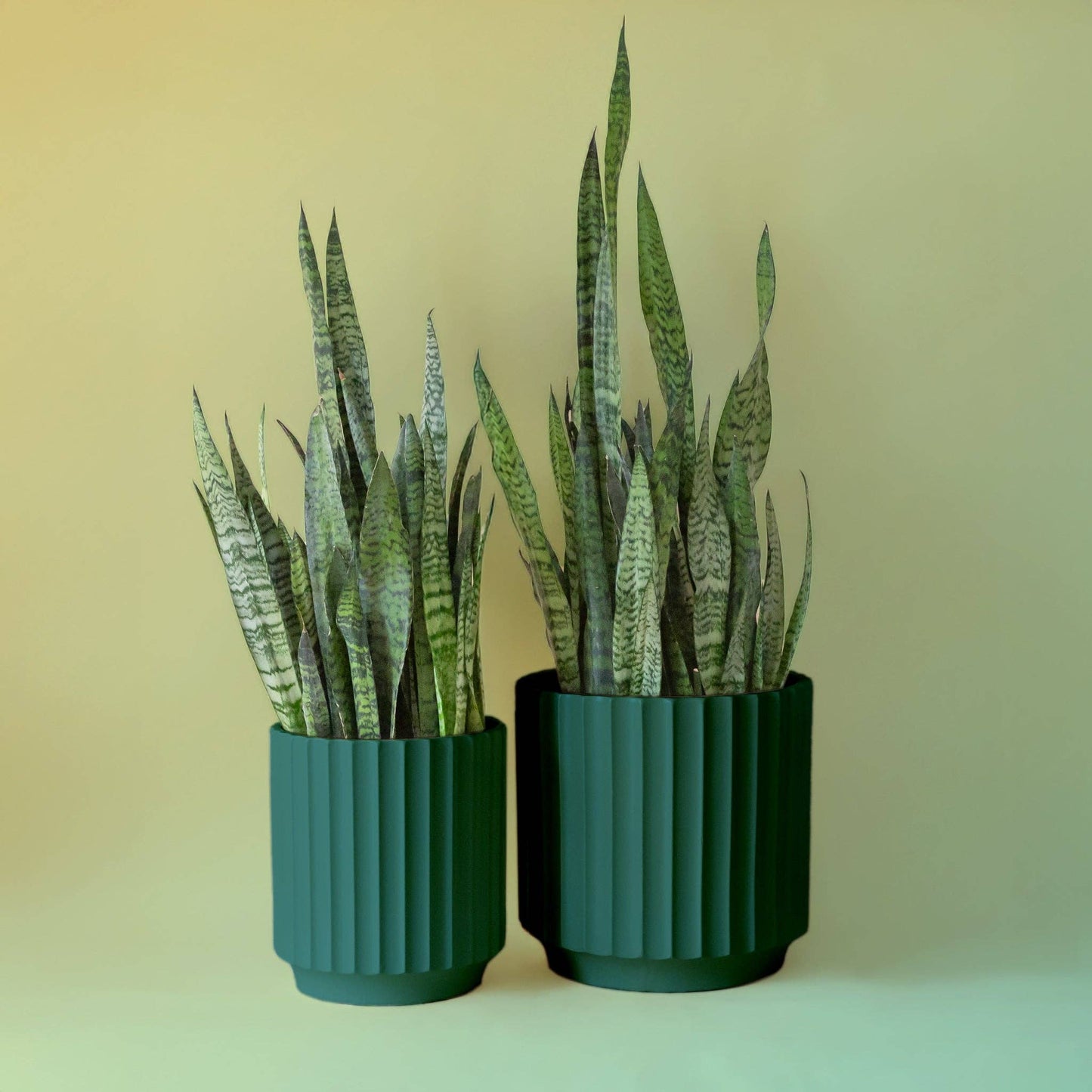 Monroe Planter | 10 & 12 inch