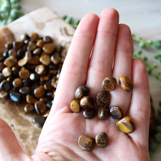 Tiger's Eye Tumbled Chips (Xs) 4oz Bag