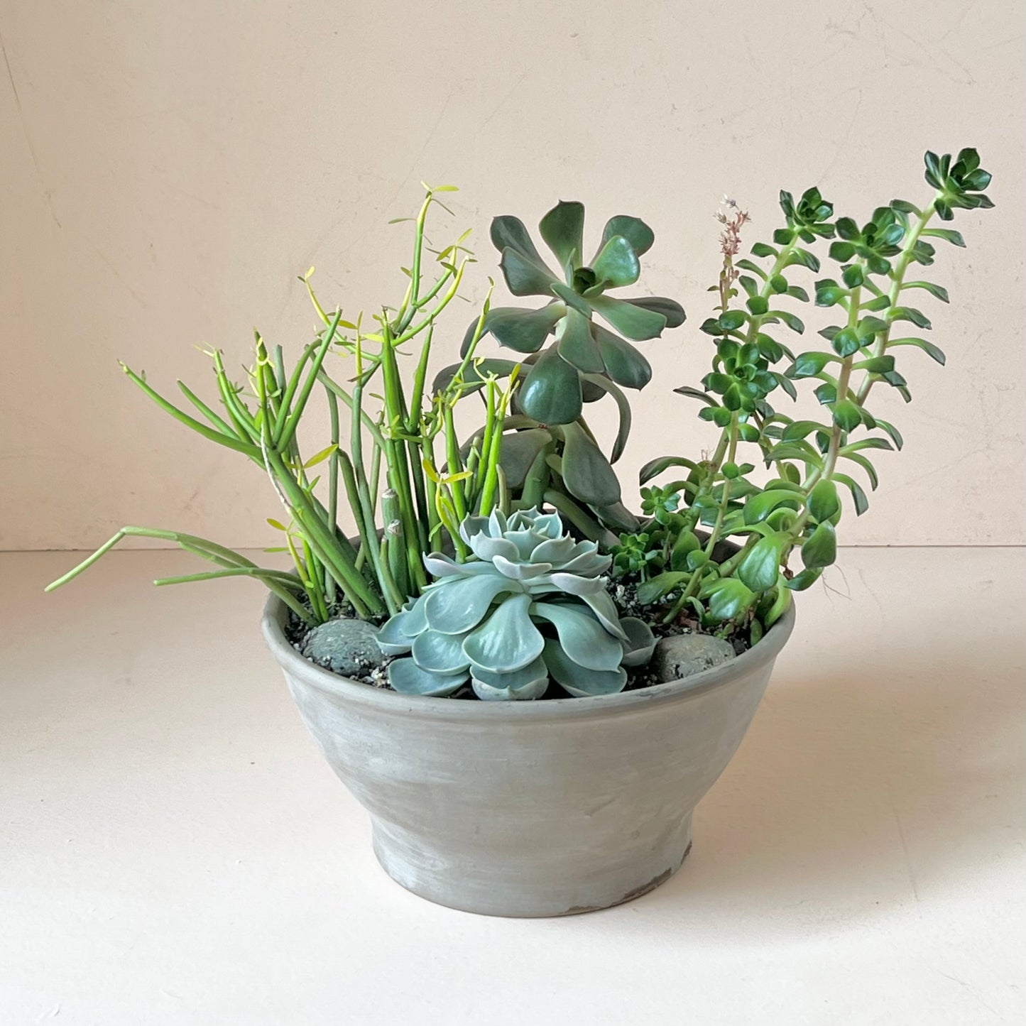 Succulent Garden Planter