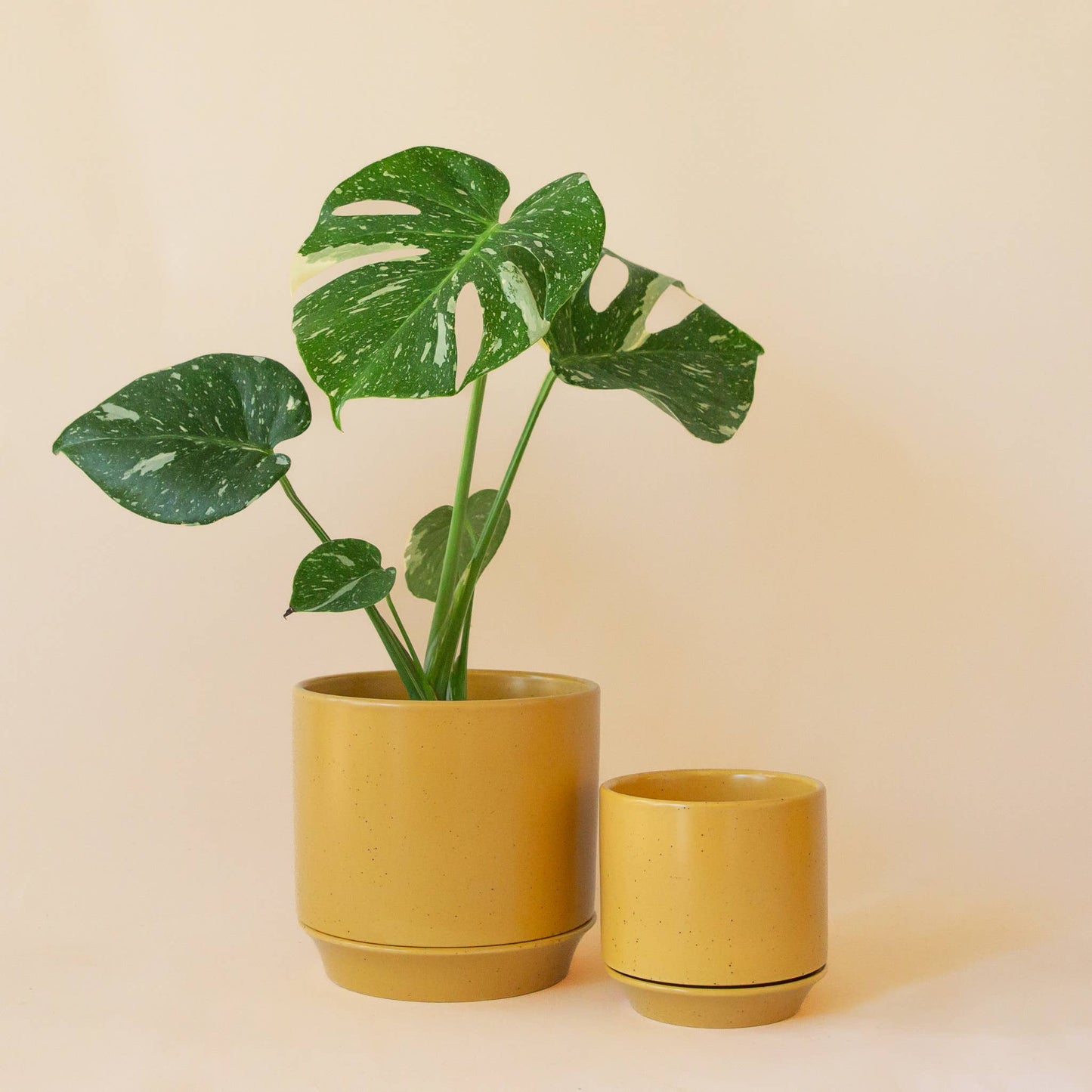 Parker Planter | with Trivet