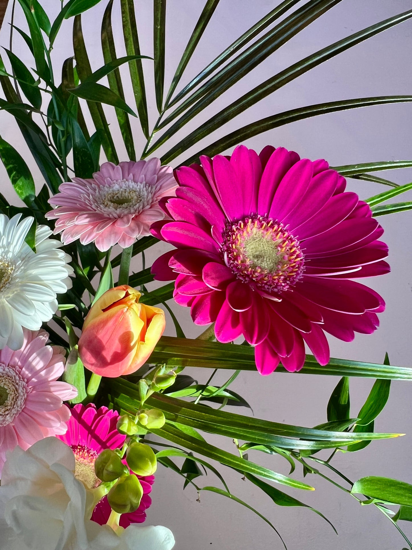 2026 B.Willow x Jinji Chocolate Valentine's Package Pre-Order (limited # available!)