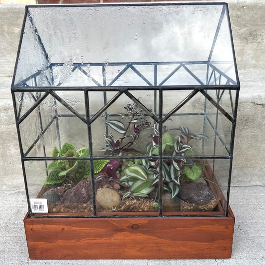 Tropical Planted Terrarium by Leadhead Glass
