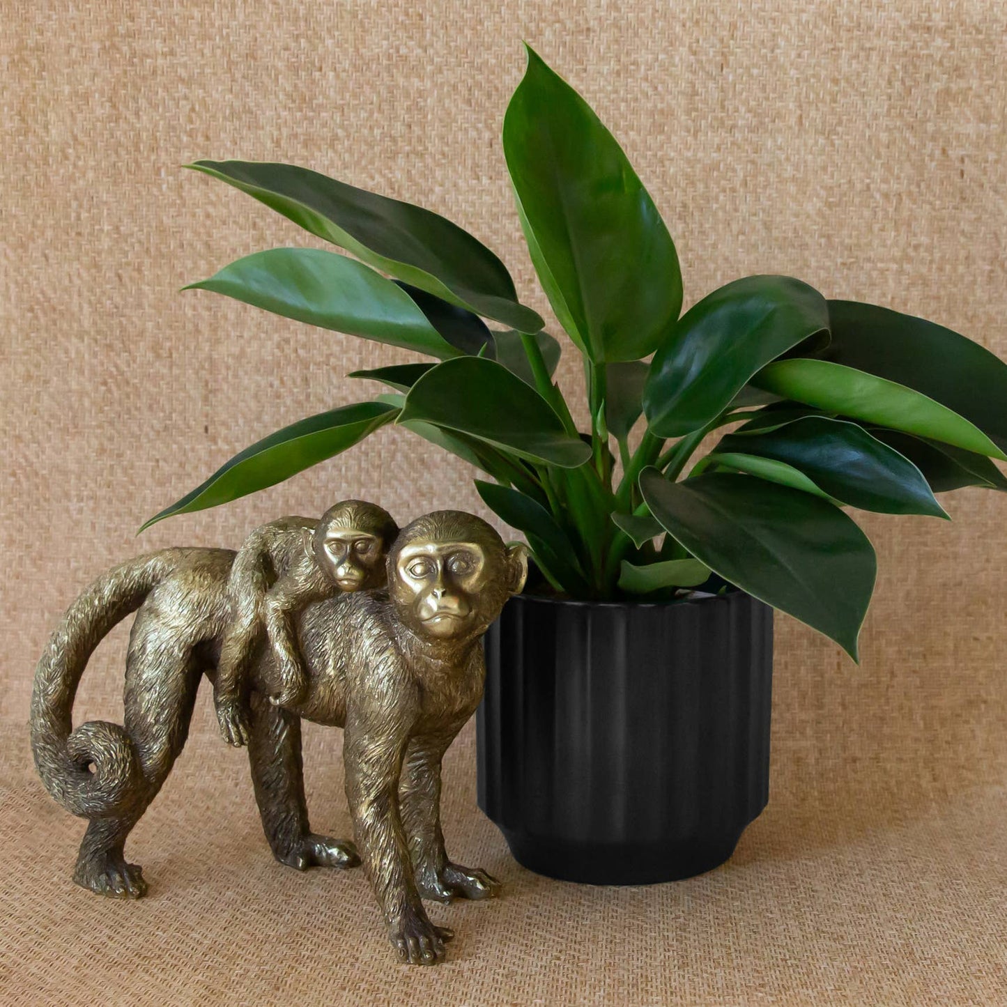 Monroe Planter | 3 to 6.75 inch