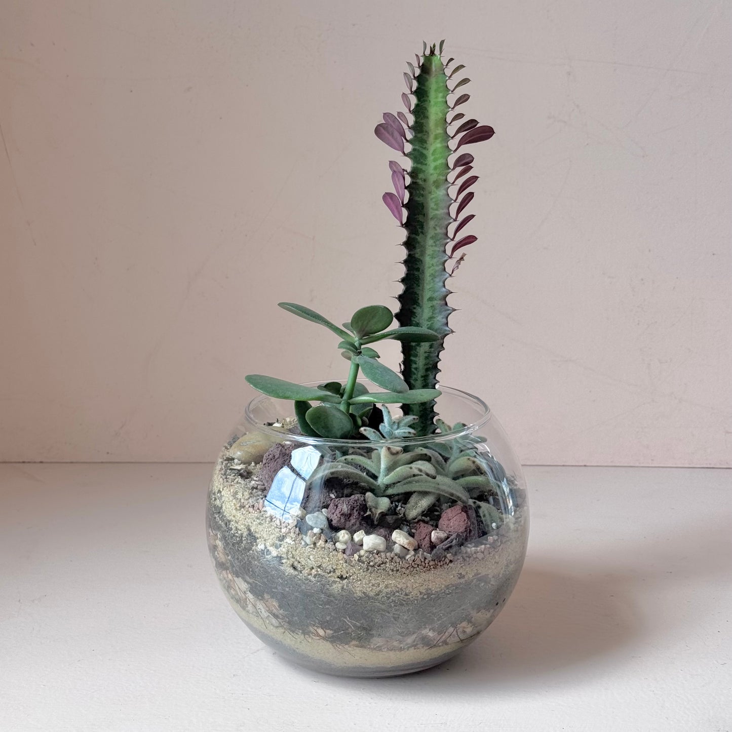 8" Succulent Globe Terrarium