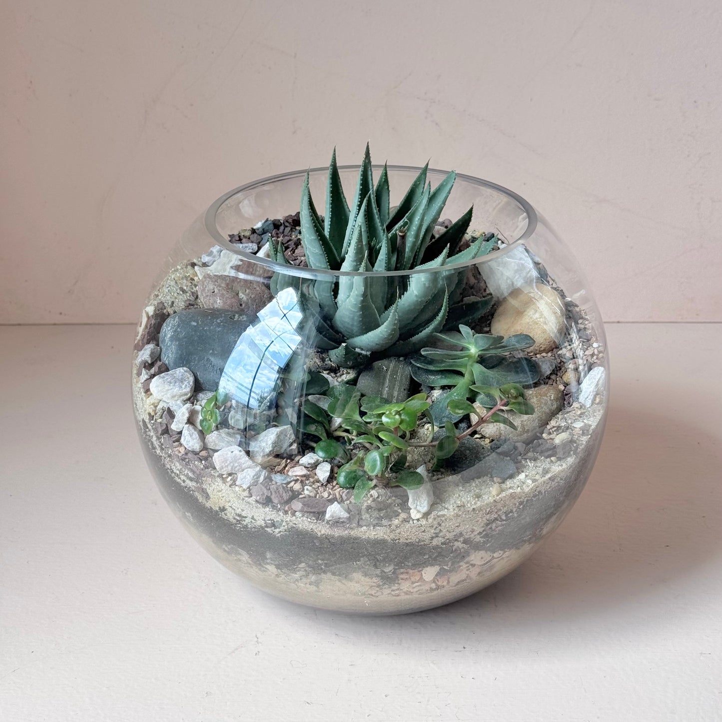 10" Succulent Globe Terrarium